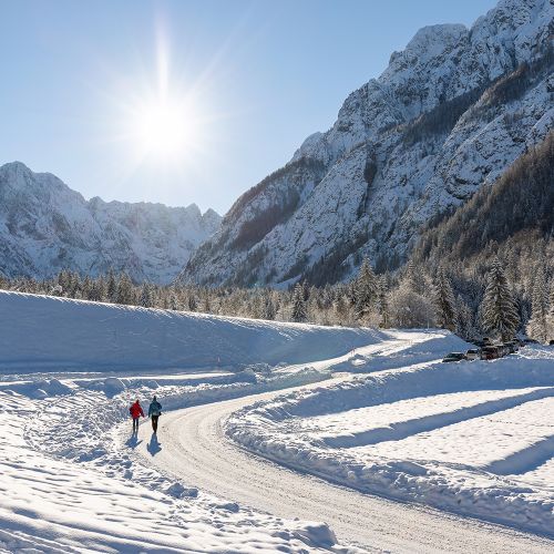 Planica