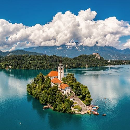 Bled